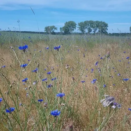 Letniskowe Anna Casa vacanze Ostrowo (Puck)