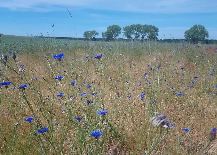 Letniskowe Anna Semesterbostad Ostrowo (Puck)